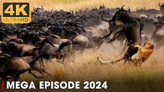 WILD SAVANNAH  Amazing nature  Run to survive  Nature Animal Documentary [upl. by Acker]