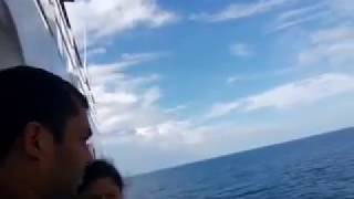 Govt Ferry Andaman  Port Blair To Havelock Island  MV Bambooka Ship  Andaman Tourism [upl. by Zenger]