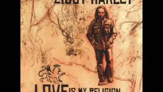 Ziggy Marley  Dragonfly [upl. by Tteve835]