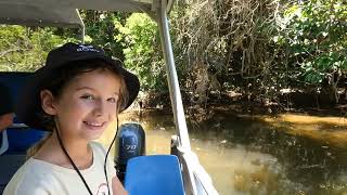 Daintree river crocodile cruise [upl. by Mini]