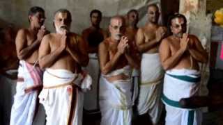 Thuppul Sri Vedanthachar Uthsavam  Arulicheyal Goshti Vazhi Thirunamam  Kanchipuram [upl. by Anitahs]