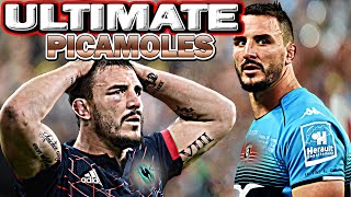 Ultimate PICAMOLES Tribute  GARGANTUAN ᴴᴰ [upl. by Renie]