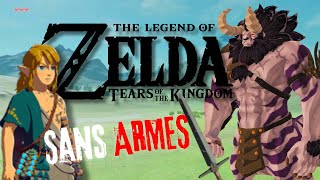 Zelda TOTK sans ARME  zeldafanart zeldabotw zeldanintendozelda [upl. by Ellerred]