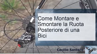 Come Montare e Smontare la Ruota Posteriore di una Bici [upl. by Adest935]