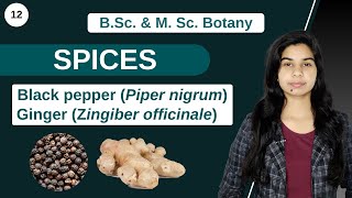 Economic Botany  SPICES  B Sc amp M Sc [upl. by Morgana]