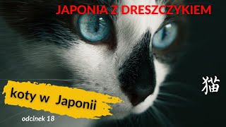 Koty w Japonii  DEMONICZNE KOTY JAPOŃSKIE Japonia z dreszczykiem 18 [upl. by Nelan296]