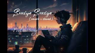 Suniya suniya rata lofi song  reverb  slowed music lofimusic [upl. by Winer]