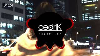 Peter Schilling  Major Tom cedriK Techno Remix [upl. by Sanjay725]