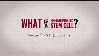 What is a hematopoietic stem cell Narrated by Dr Connie Eaves [upl. by Gypsie]