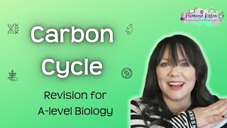 Carbon Cycle  Revision for Biology ALevel [upl. by Yecak]