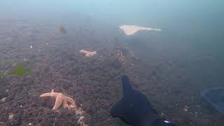 Whats under the water in NJ bays and inlets Lets find out Point Pleasant [upl. by Ahens]