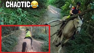 almost hit by bikes spooking stopping amp fallen tree  GO PRO  equinemollie [upl. by Filippa637]