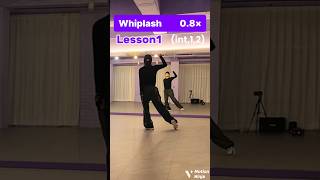 Lesson1 AESPA  WHIPLASH Slowed amp Mirrored Tutorial [upl. by Nim]