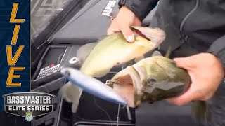 MISS RIVER Brandon Palaniuk doubles up on topwater [upl. by Archangel71]