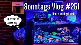 💦Der Meerwasseraquaristik Sonntags Vlog EP 251💦 Heute wird geklebt im Banki Tank mit überlänge💦 [upl. by Pump]