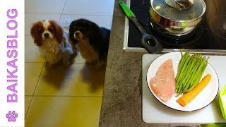 Recette pour chien  Ration ménagère du débutant [upl. by Cody]