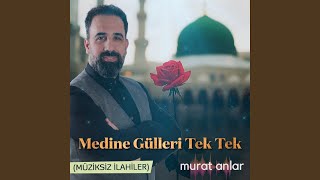 Medine Gülleri Tek Tek Müziksiz İlahiler [upl. by Beale814]