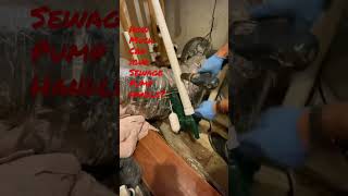 Sewage Ejector Pump Replacement TappPlumbing plumbing plumbers shorts [upl. by Arte]