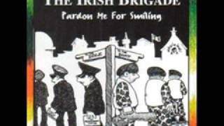 The Irish Brigade  Medley Off to DublinBroad Black BrimmerProvo Lullabye [upl. by Assenab360]