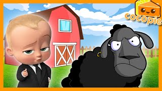 Black Sheep விட்டு VJ Siddhu வெளியேறிவிட்டாரா vigneshkanth harshathkhan funpandrom siddhuvlogs [upl. by Shanon]