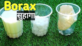 How to use Borax for plants and Benefits बोरेक्स  सुहागा को पौधो में कैसे उपयोग करे [upl. by Gardy759]