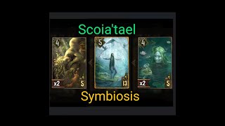 scoiatael symbiosis vs skellige Gwent Card Game 202407301208 [upl. by Ariana]