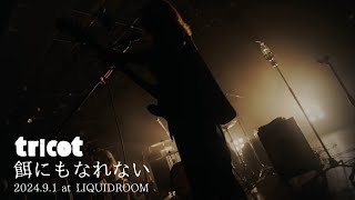 tricot quot餌にもなれないquot Live Video  202491 at LIQUIDROOM [upl. by Danit]