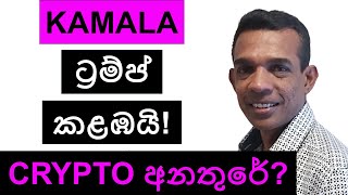 KAMALA ට්‍රම්ප් කළඹයි  CRYPTO අනතුරේ [upl. by Nomor]