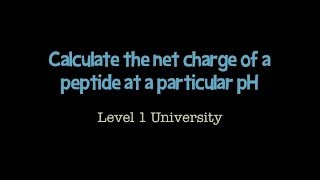 Calculate the net charge of a peptide [upl. by O'Kelly]