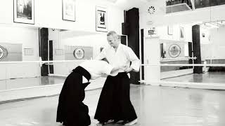 Aikido técnicas básica  Uke nagashi sayu nage variaciones [upl. by Winnifred]