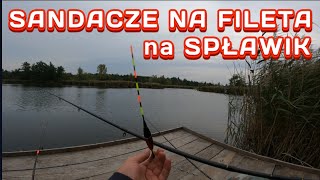 Sandacze na Fileta z ryby Metoda Spławikowa [upl. by Anivlis]