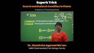 Best Trick on Anatomy of Flowering Plants  NEET Biology by AA Mam  Etoosindia shorts [upl. by Hedveh805]