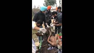 Worst case of Human lice Infestation  Manukhta di Sewa Society Ludhiana  MDSS [upl. by Enisaj]