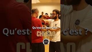 Chi Sao  Questce que cest  artsmartiaux wingtsun kungfu chisao [upl. by Alyworth]