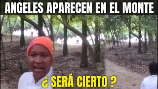 😱 IMPRESIONANTE VIDEO DE MULTITUD DE ANGELES SUBIENDO A UN MONTE SERÁ CIERTO [upl. by Ynahteb]