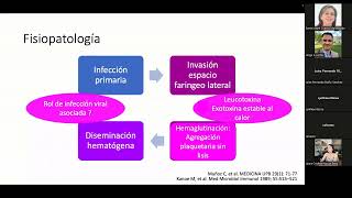 Sindrome de Lemierre por Fusobacterium necrophorum Necrobacilosis  posgrado Infectologia UNAL [upl. by Baerl]