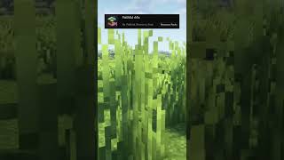 Minecraft best shader and mod for you 🥵 mybirthday [upl. by Itram740]