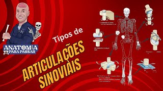 Tipos de articulações sinoviais [upl. by Colb878]