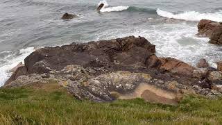 Covesea Cliffs and Caves Lossiemouth Moray Scotland [upl. by Harneen]