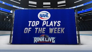 NAHL Top Plays  April 1920 2024 [upl. by Lemra]