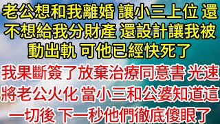 【完結】老公想和我離婚，讓小三上位，還不想給我分財產，還設計讓我被動出軌，可他已經快死了，我果斷簽了放棄治療同意書，光速將老公火化，當小三和公婆知道這一切後，下一秒他們徹底傻眼了為人處世生活經驗 [upl. by Cowley381]