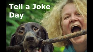 Tell a Joke Day August 16  Activities and How to Celebrate Tell a Joke Day [upl. by Eelanej]