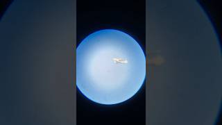 USAF C17 through telescope [upl. by Gunter179]