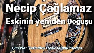 Necip Çağlamaz Çicekler Yetirdim Uçak Müzik Medya [upl. by Maggio]