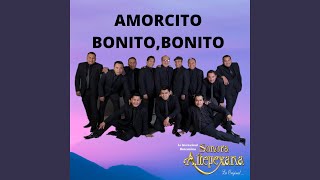 Amorcito Bonito Bonito cover [upl. by Uchish125]