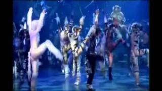 Cats reversed 10 the jellicle ball [upl. by Aysahc404]