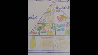 I made beautiful wall chart about Food Pyramid [upl. by Alleirbag248]