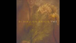 PMS  Il cielo gonfio di giallo e grigio NOT THE VIDEO [upl. by Gylys896]