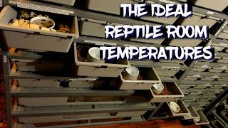 The Ideal Reptile Room Temperatures [upl. by Philine89]