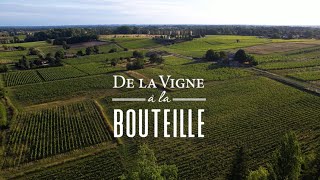 Présentation du jeuconcours Baron de Lestac quotDe la vigne à la bouteille 2024quot [upl. by Rodama931]